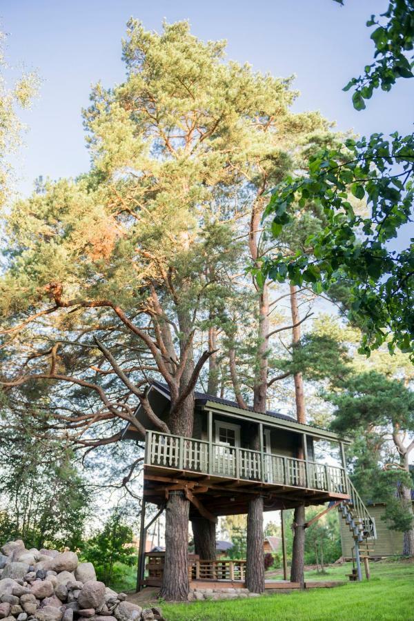 Namelis Medyje Anyksciuose Holiday home