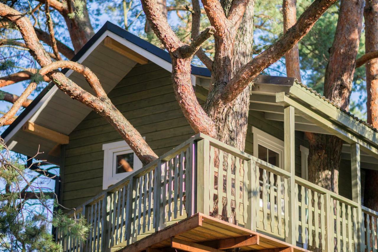 Namelis Medyje Anyksciuose Holiday home Anyksciai
