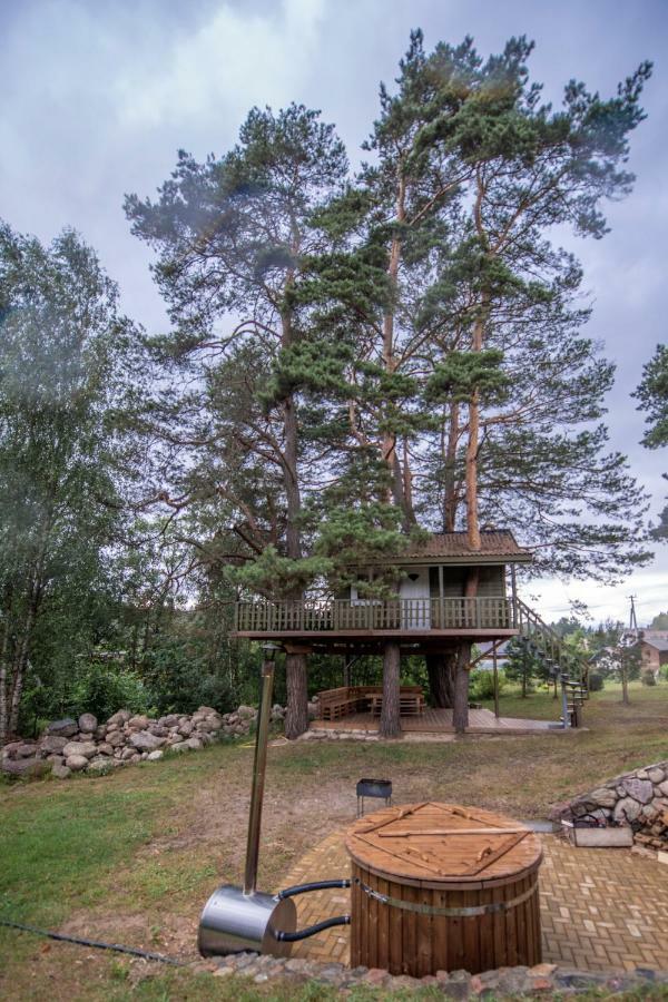 Holiday home Namelis Medyje Anyksciuose *